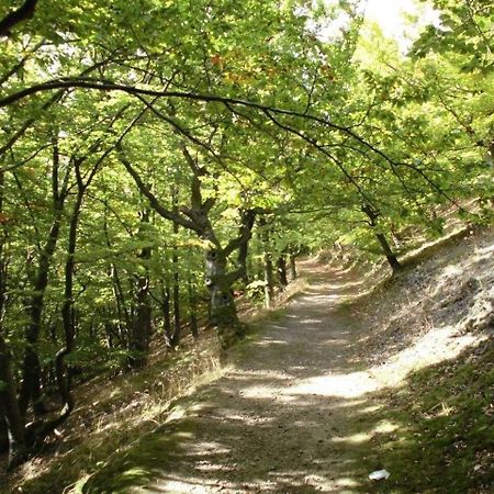 Ferienwohnung Wildkatze Am Edersee Waldeck  Kültér fotó