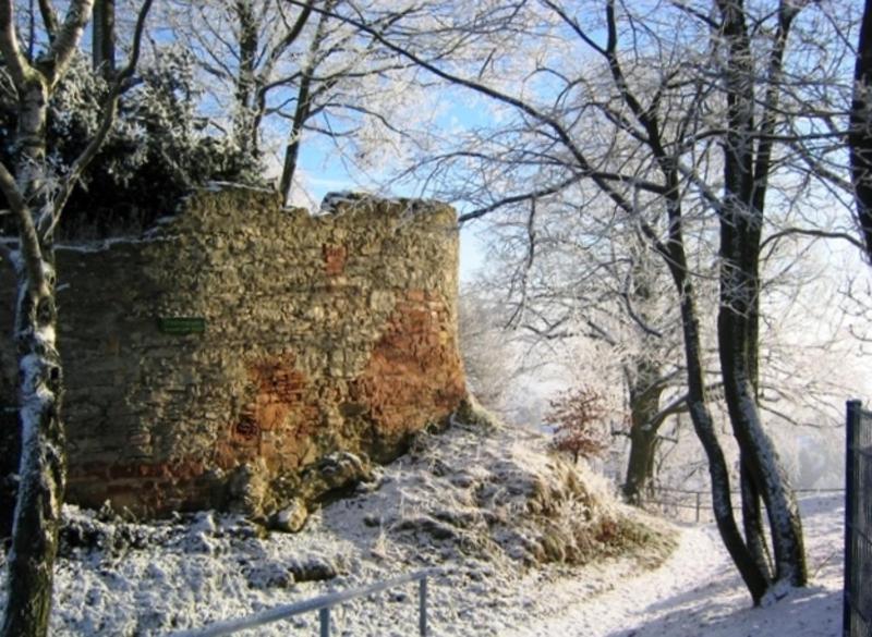 Ferienwohnung Wildkatze Am Edersee Waldeck  Kültér fotó